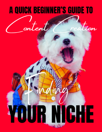 Finding Your Niche On Social Media